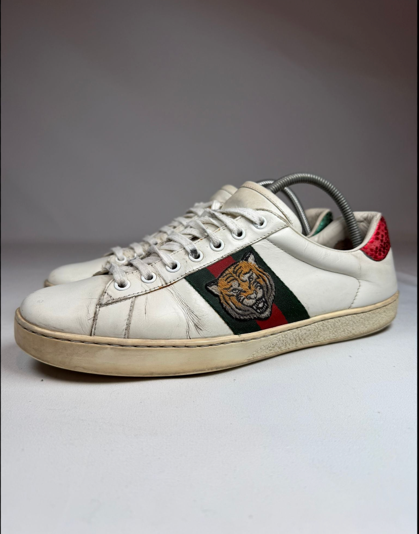 Gucci Ace Tiger