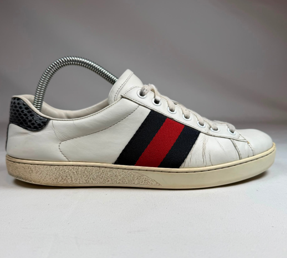 Gucci Ace