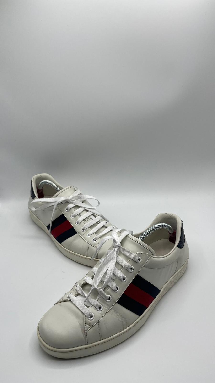 Gucci Ace