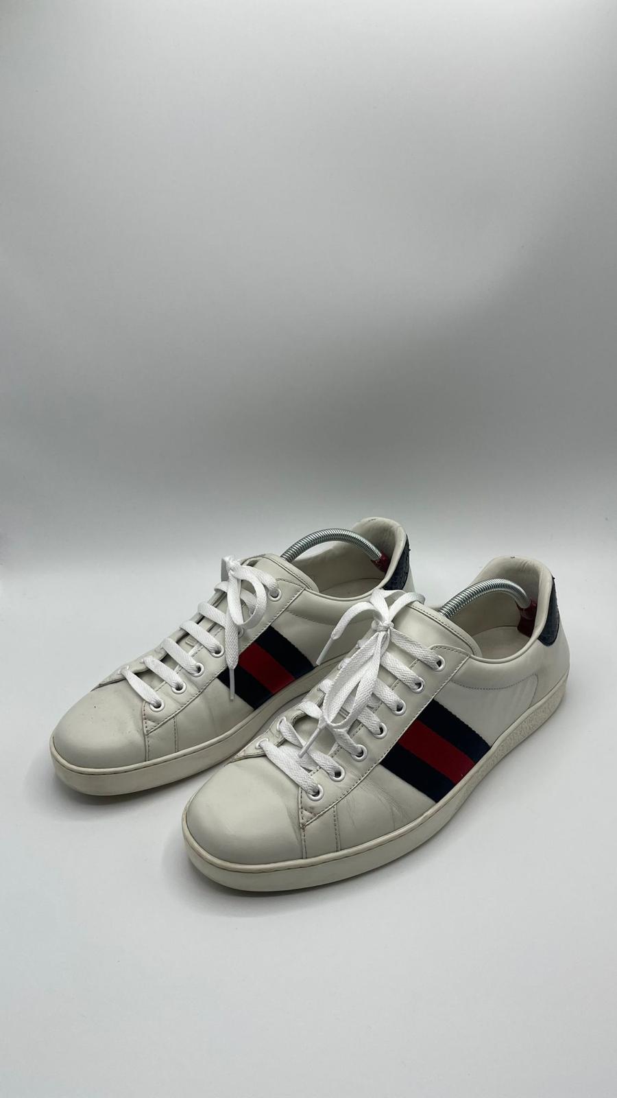 Gucci Ace