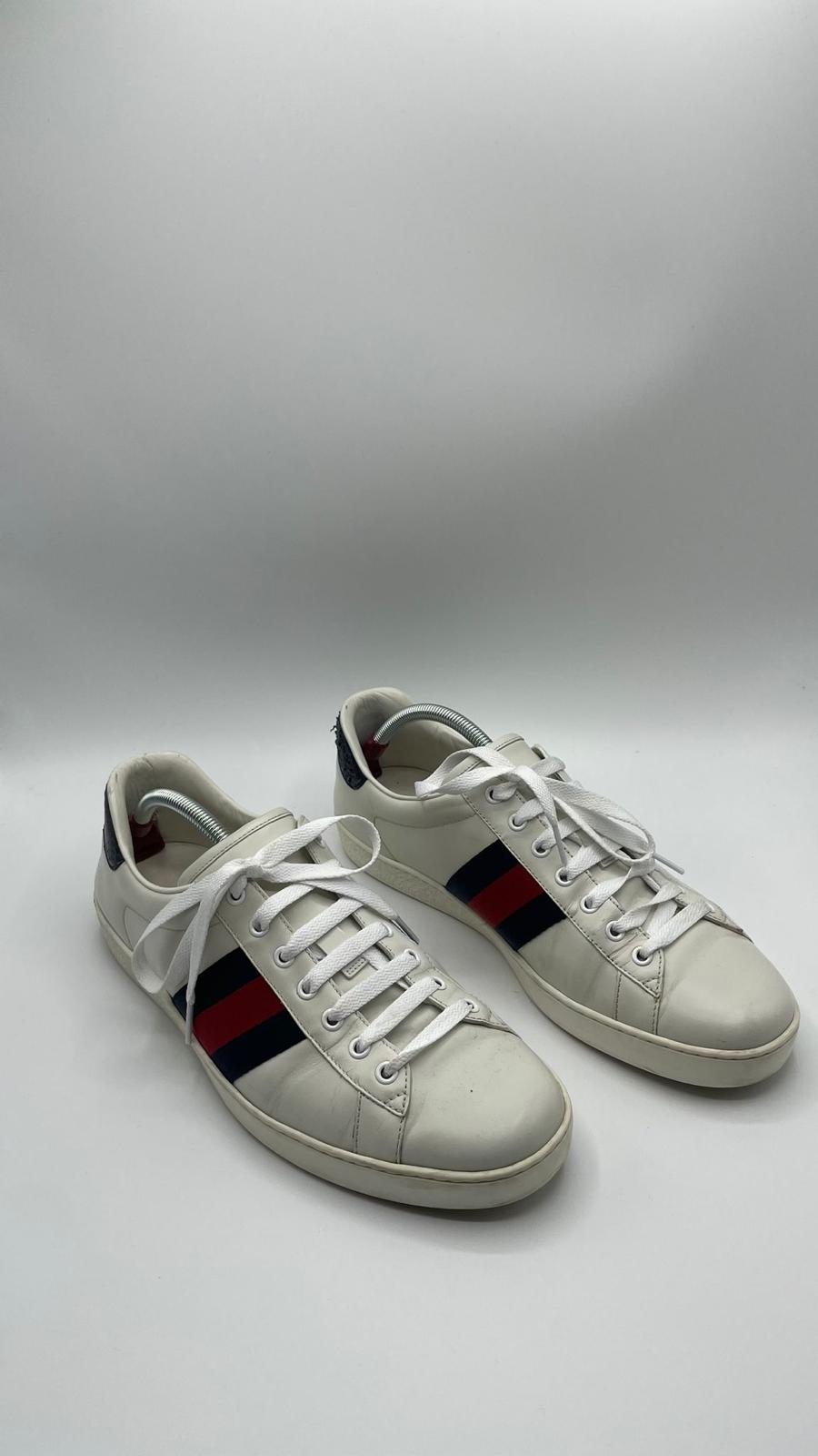 Gucci Ace