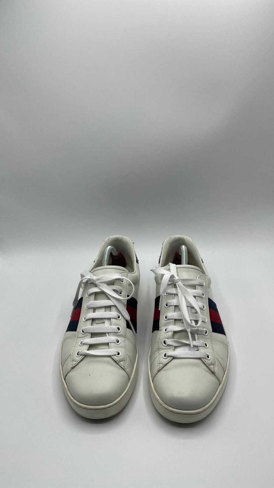 Gucci Ace
