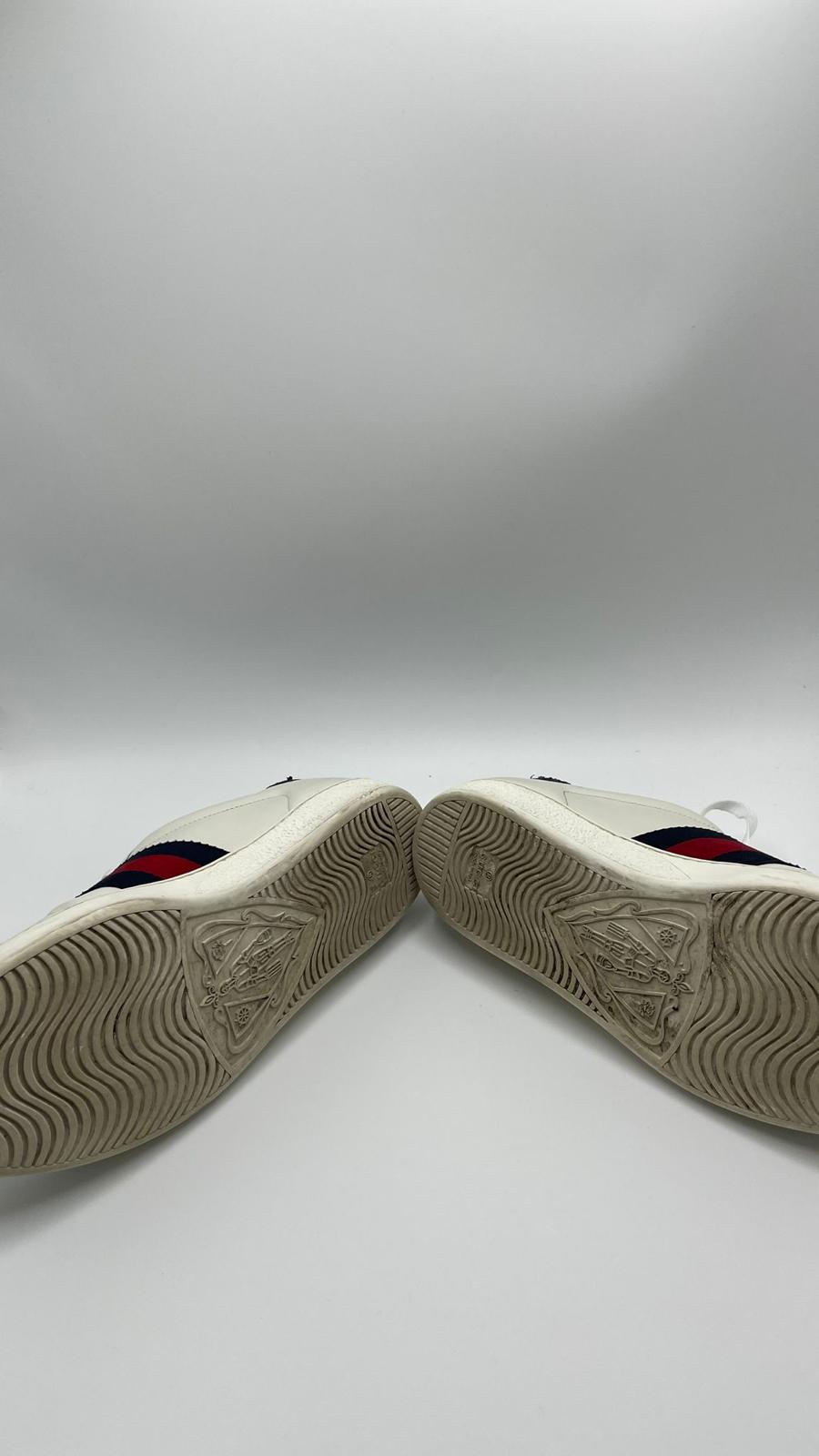 Gucci Ace