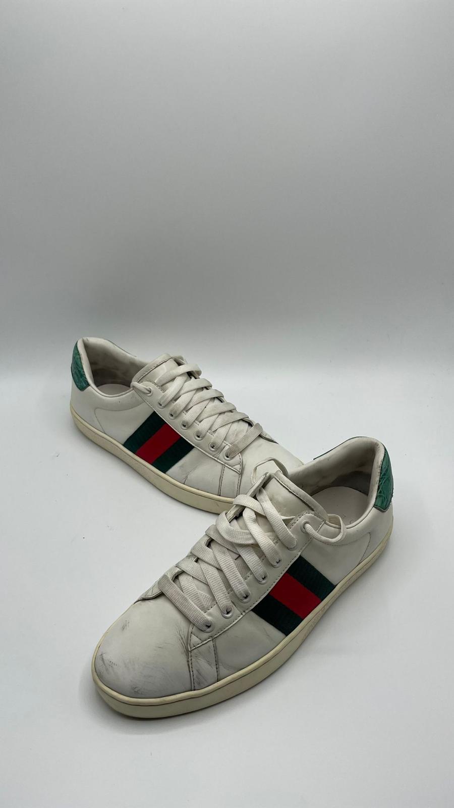 Gucci Ace