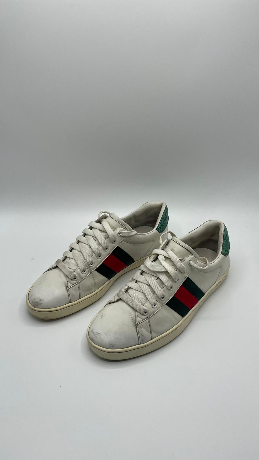 Gucci Ace