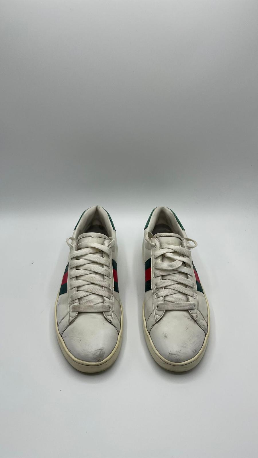 Gucci Ace
