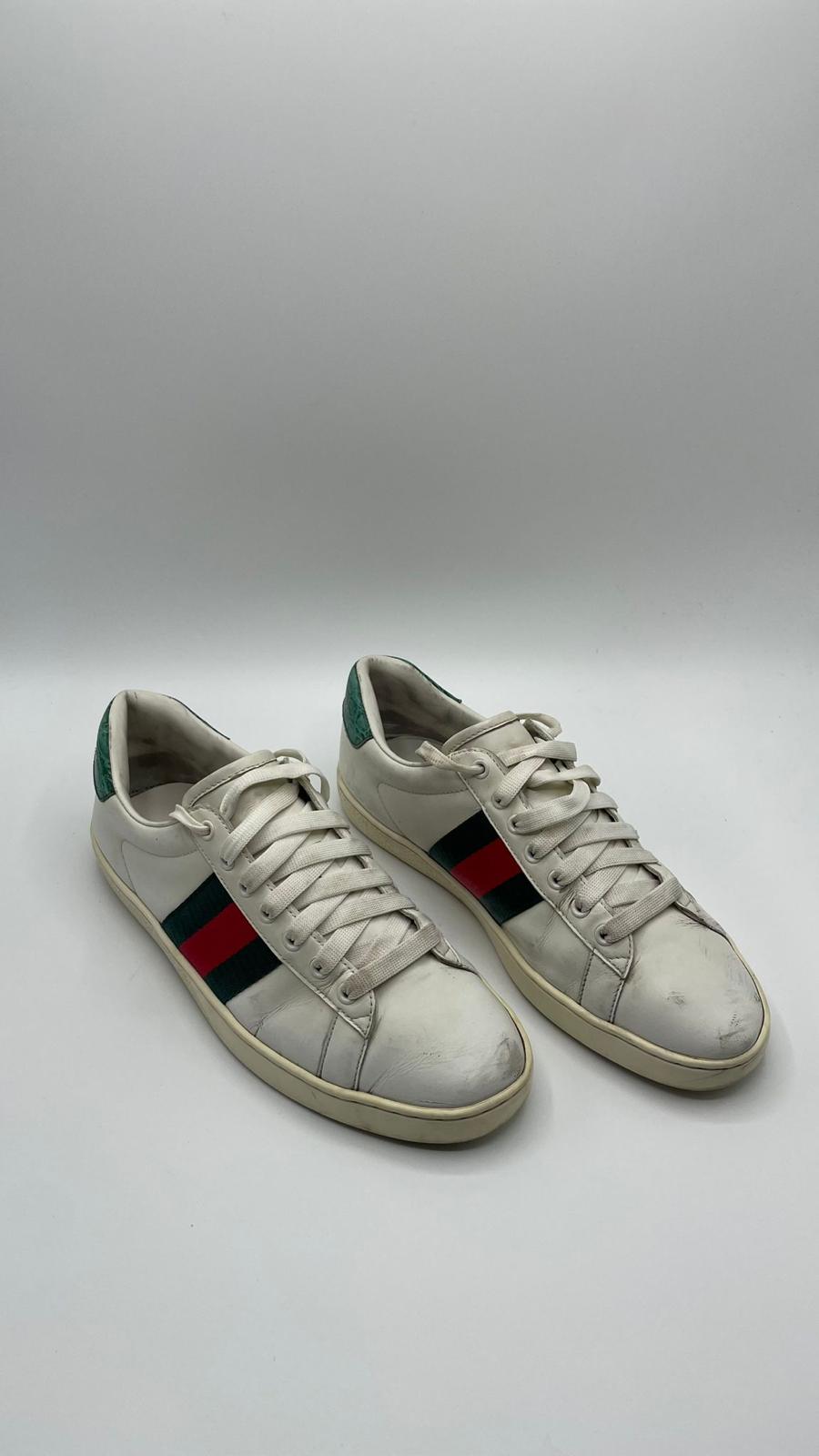 Gucci Ace