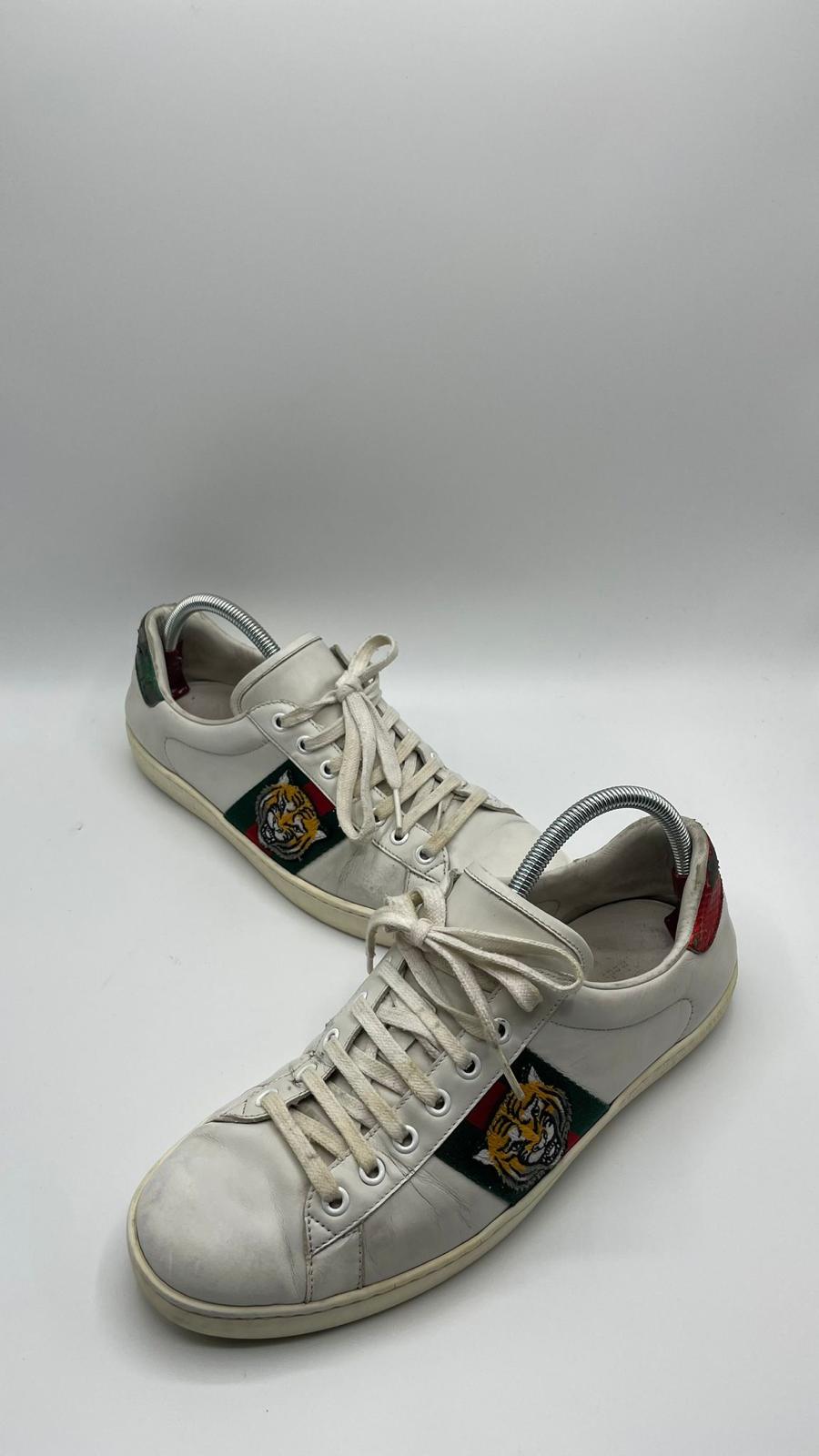 Gucci Ace Tiger