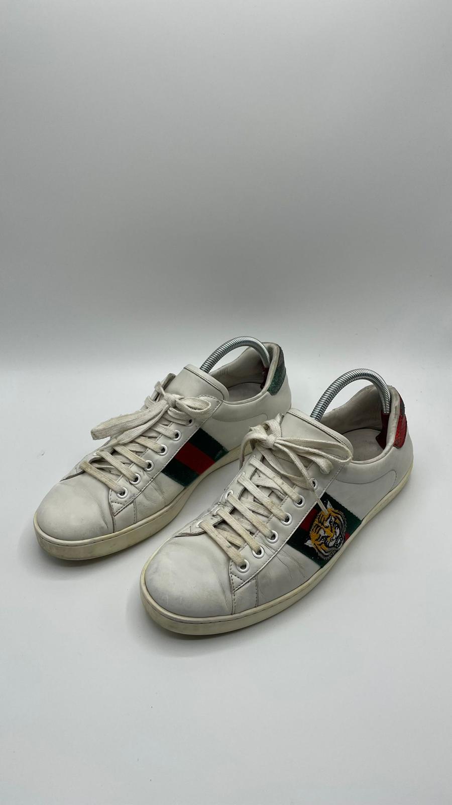 Gucci Ace Tiger