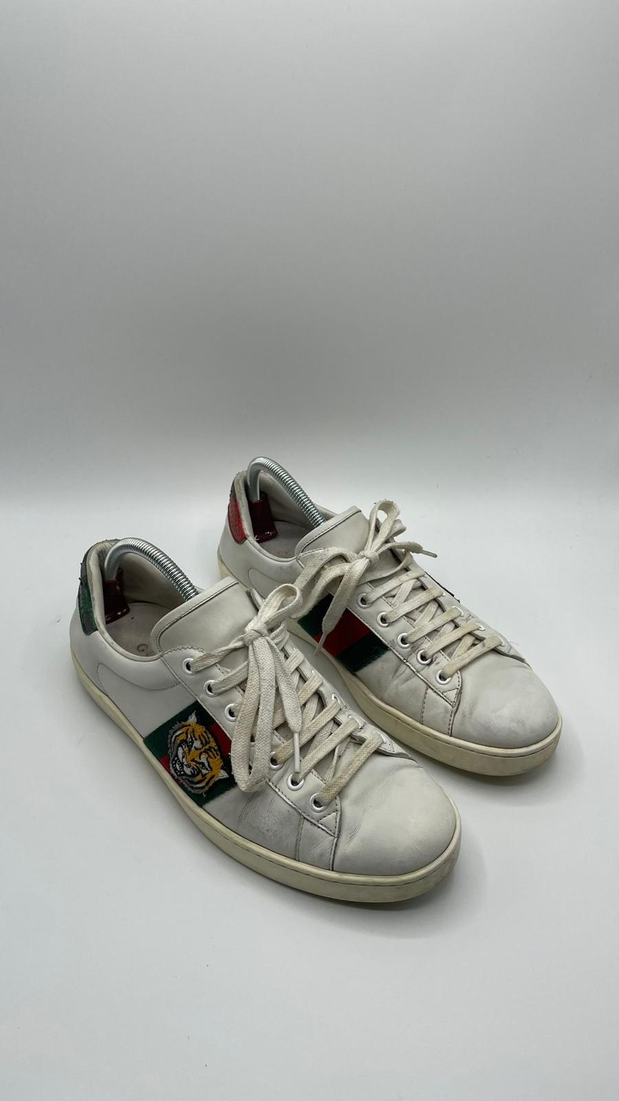 Gucci Ace Tiger