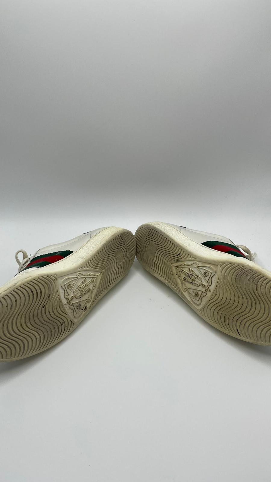 Gucci Ace Tiger