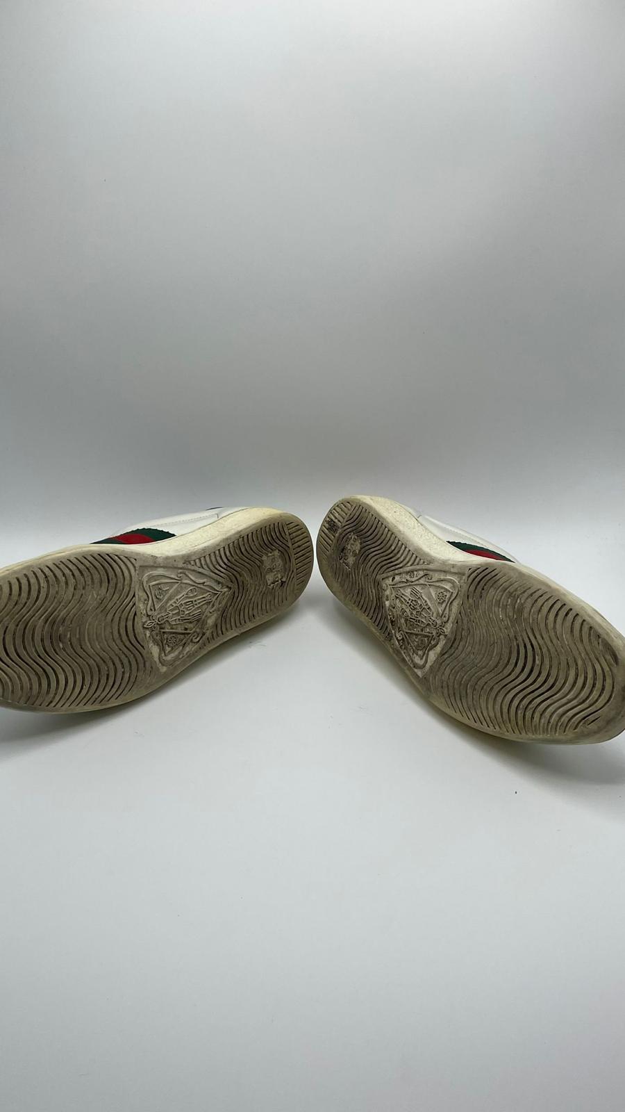 Gucci Ace Bee