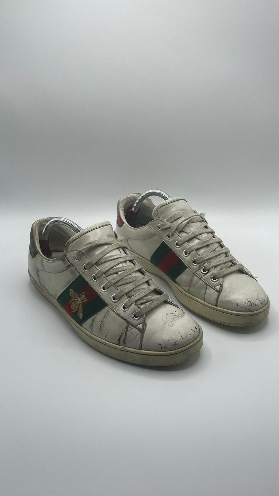Gucci Ace Bee