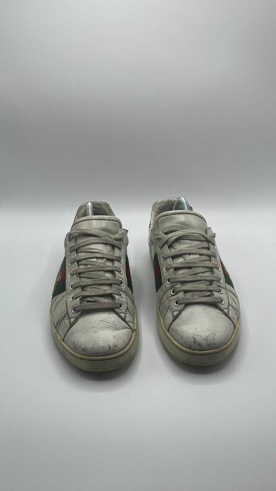 Gucci Ace Bee