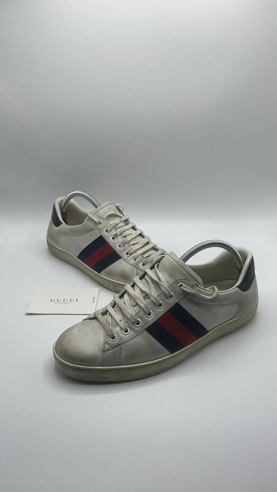 Gucci Ace