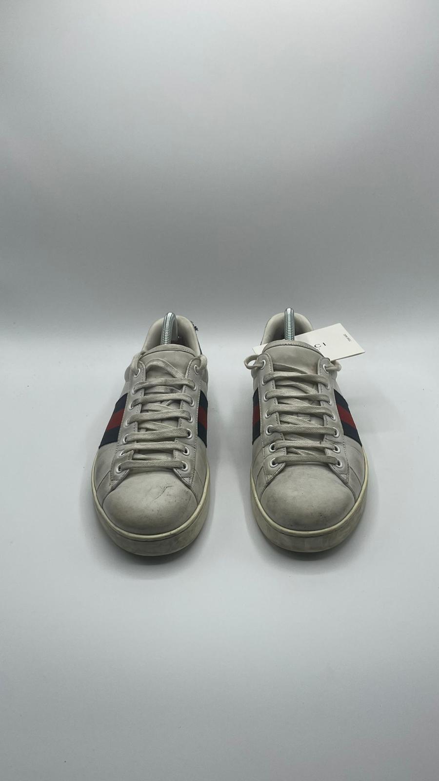 Gucci Ace
