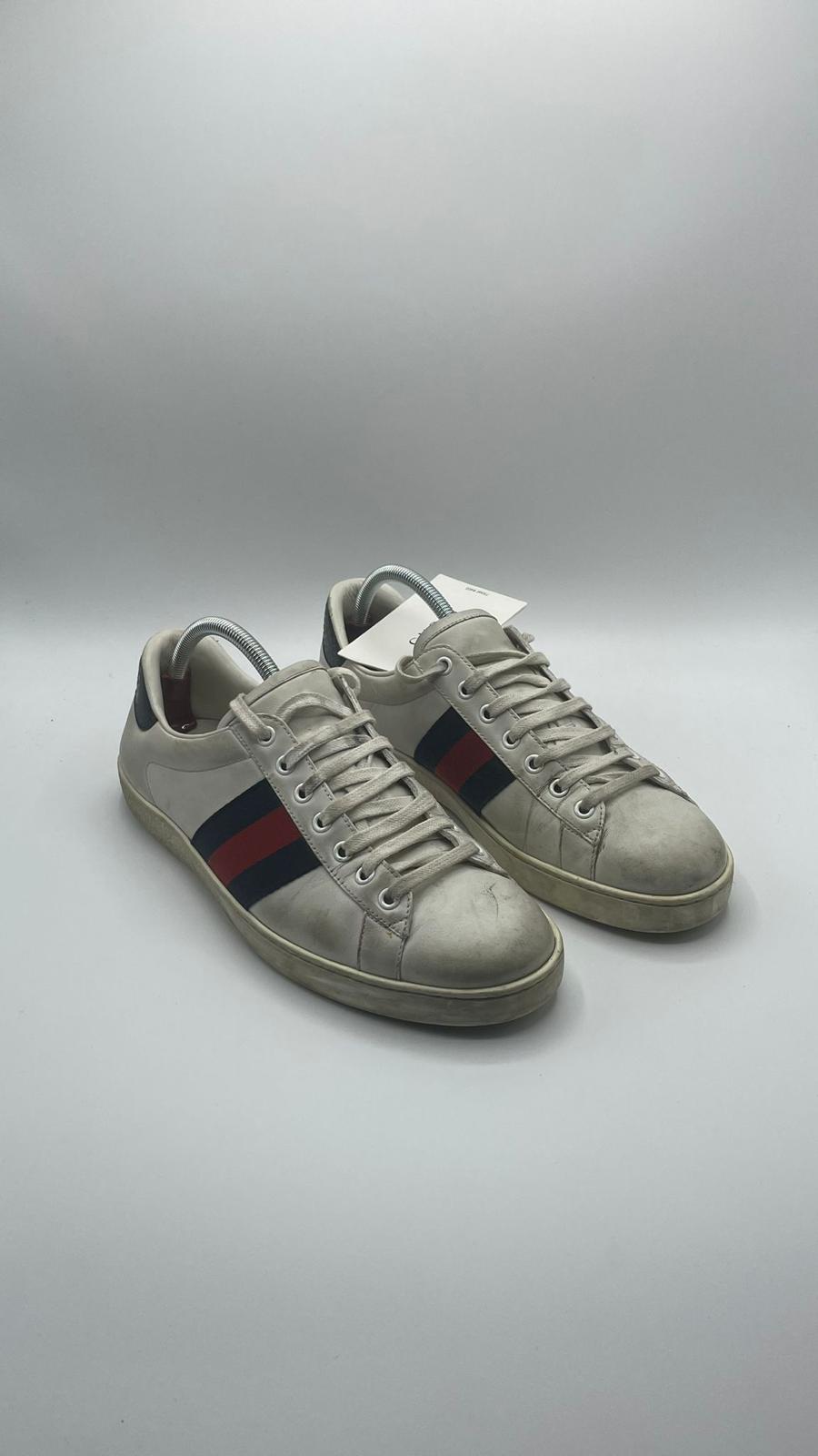 Gucci Ace