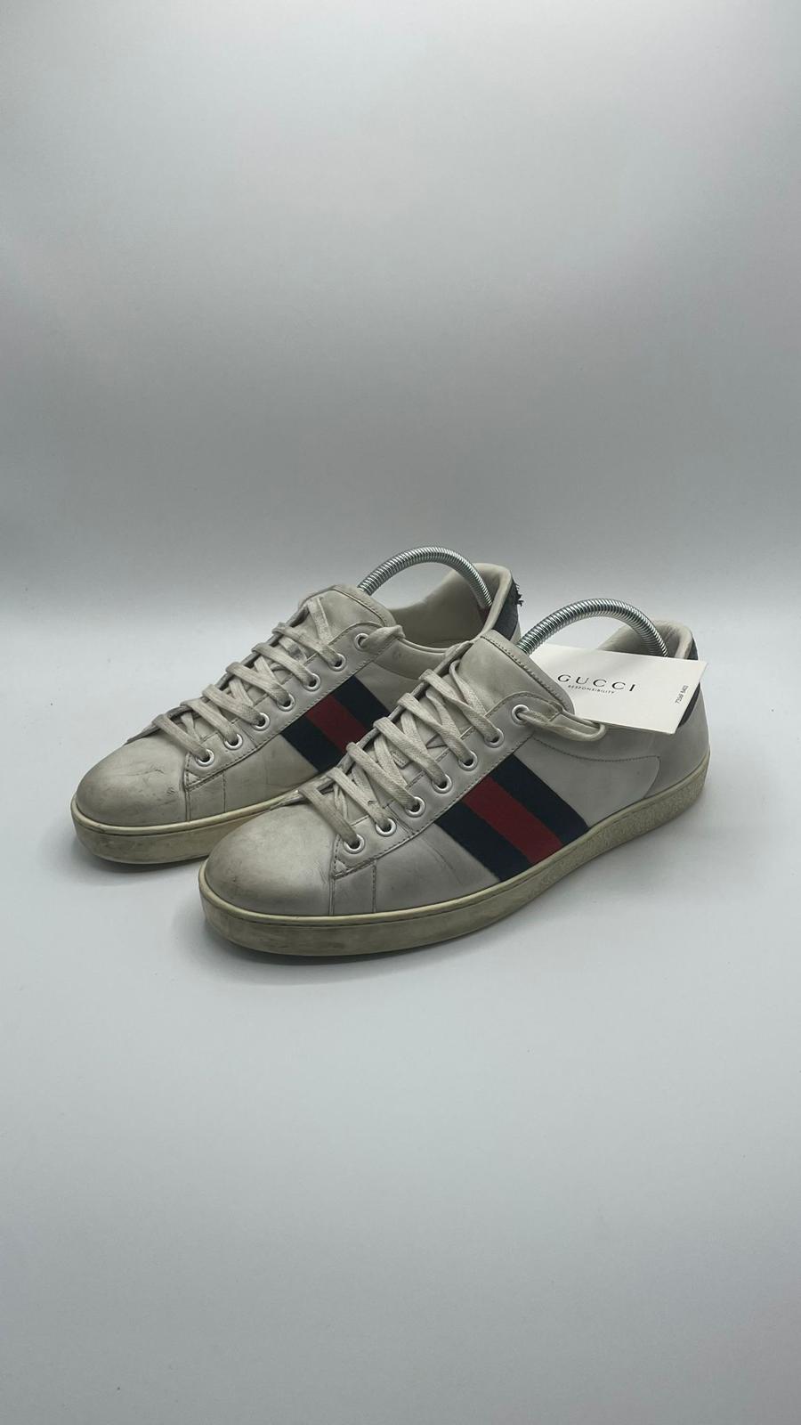 Gucci Ace