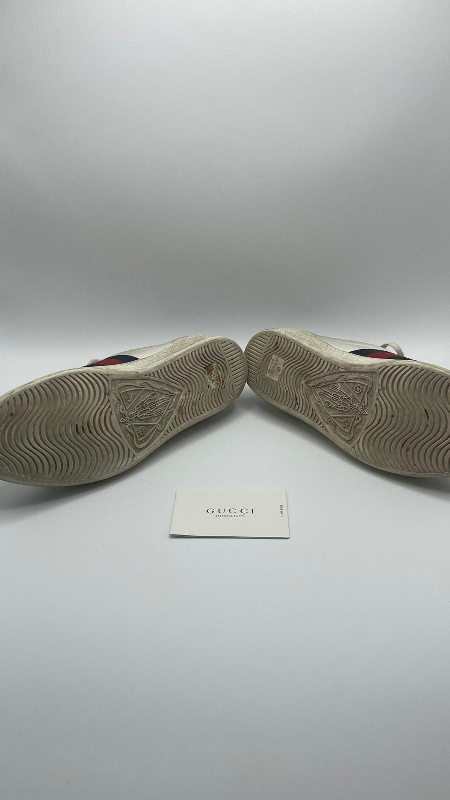 Gucci Ace