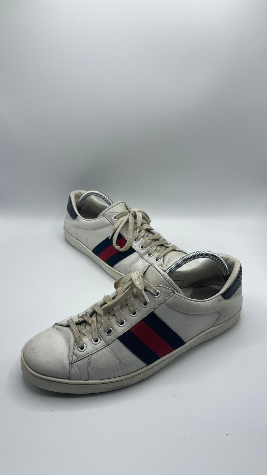 Gucci Ace