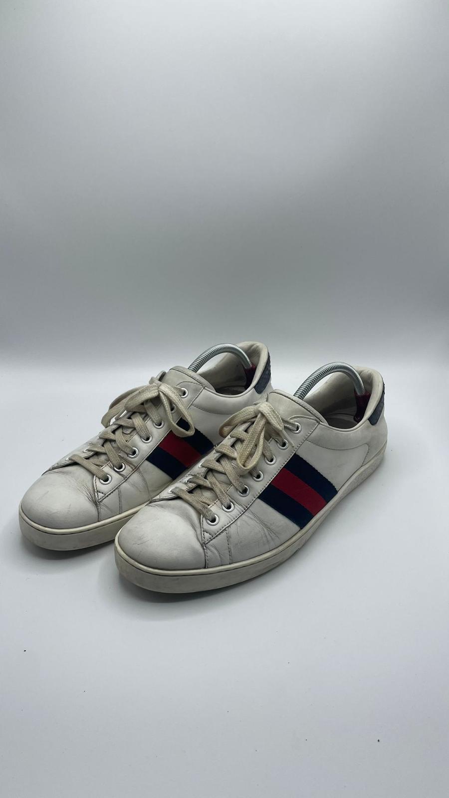 Gucci Ace