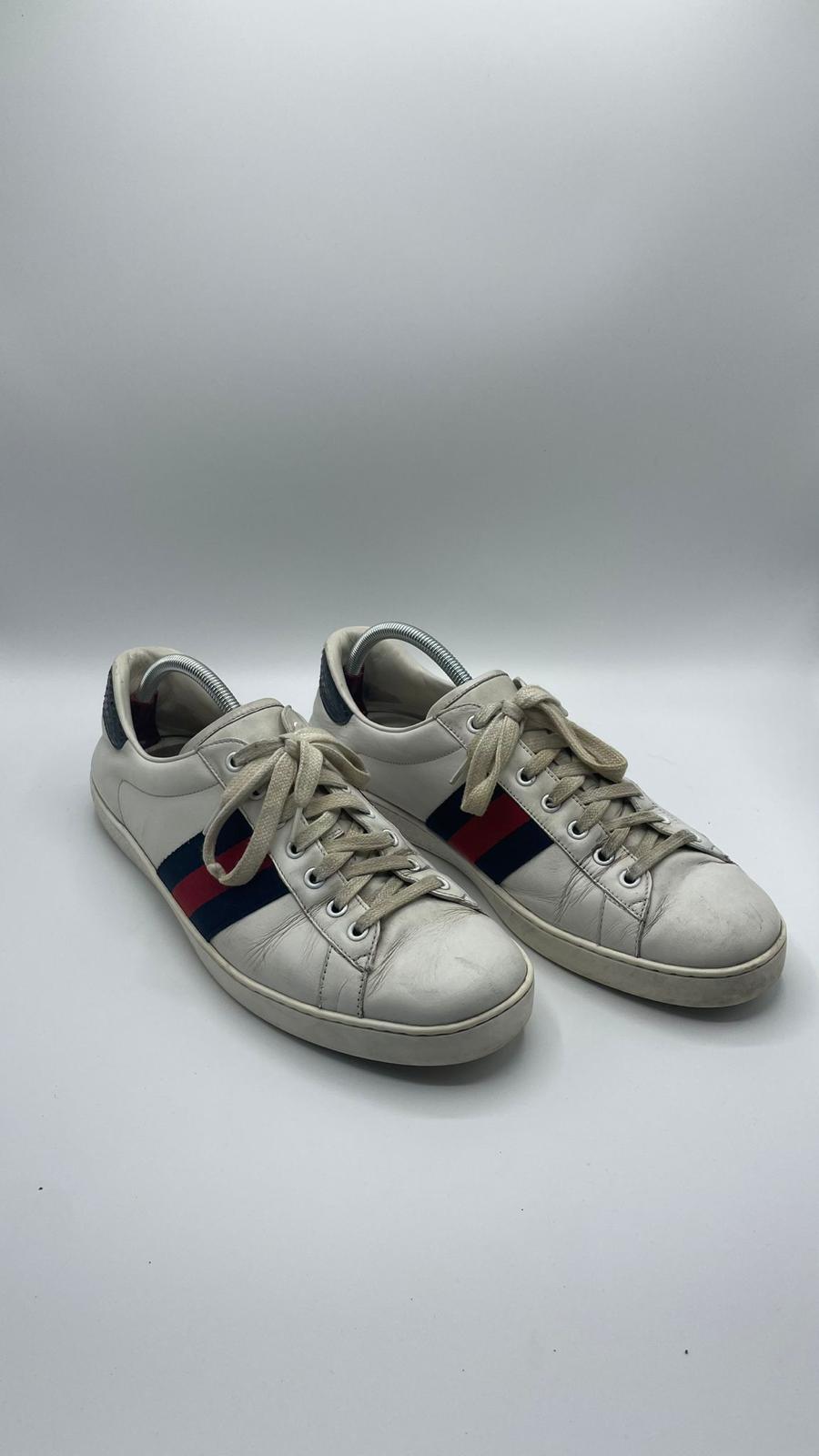 Gucci Ace