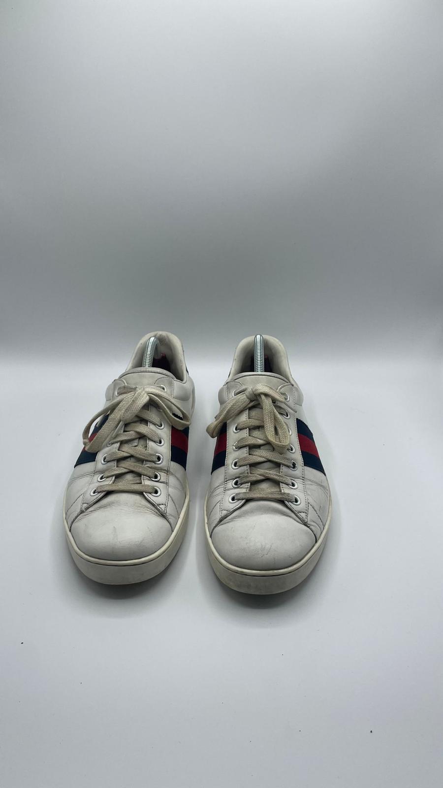 Gucci Ace