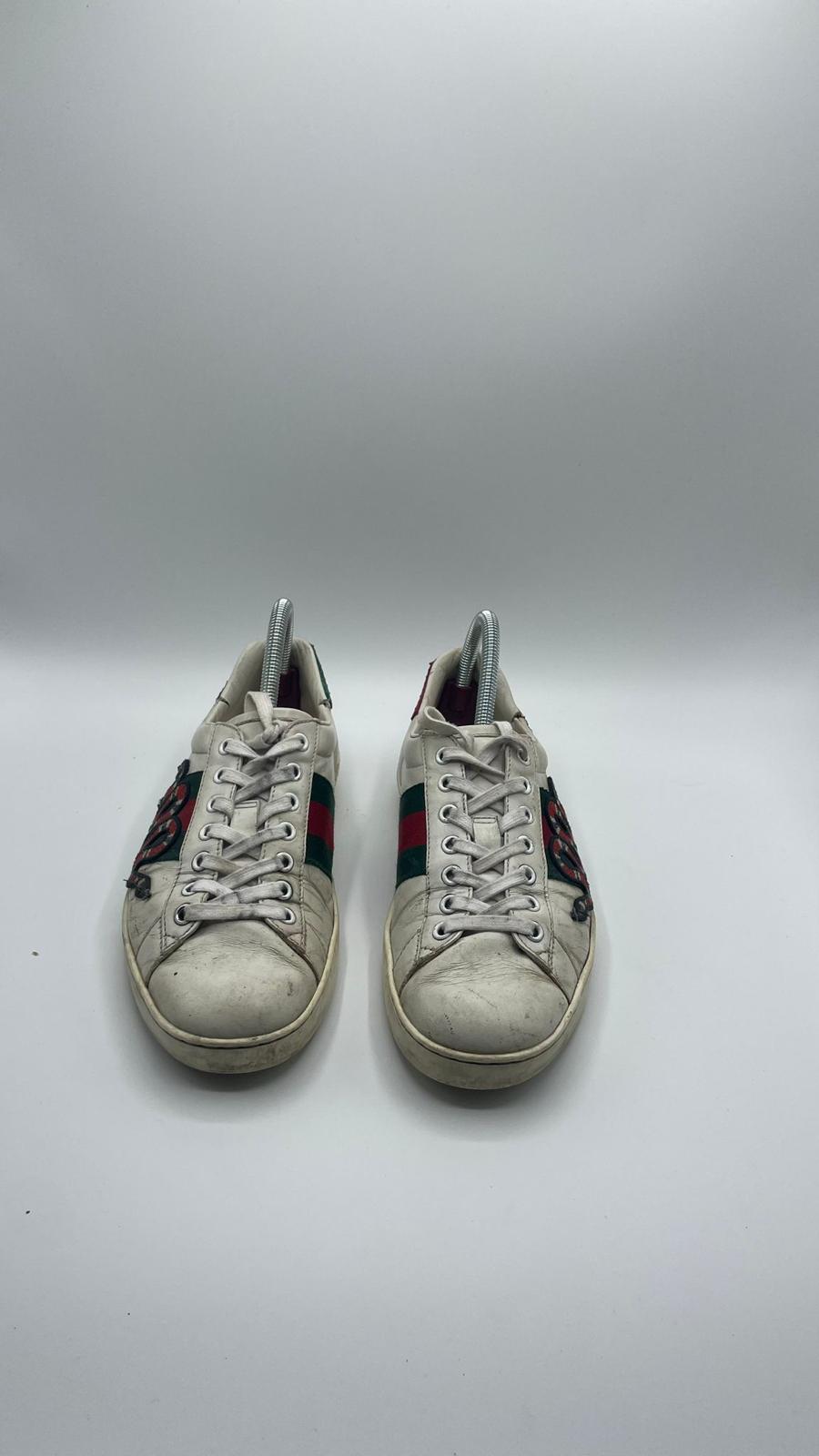 Gucci Ace Snake