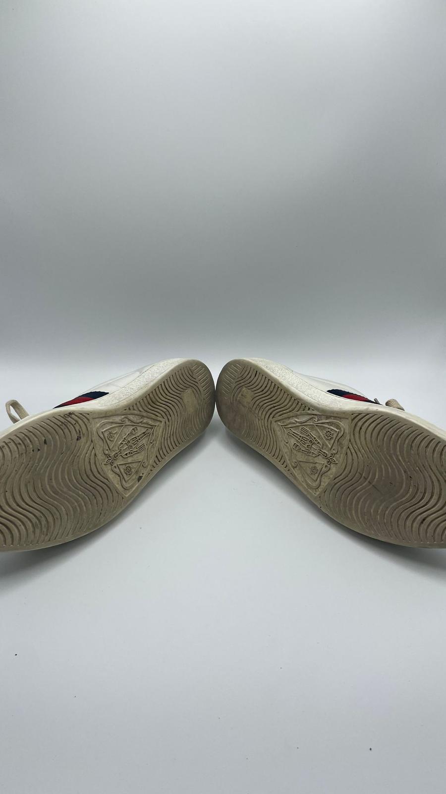 Gucci Ace