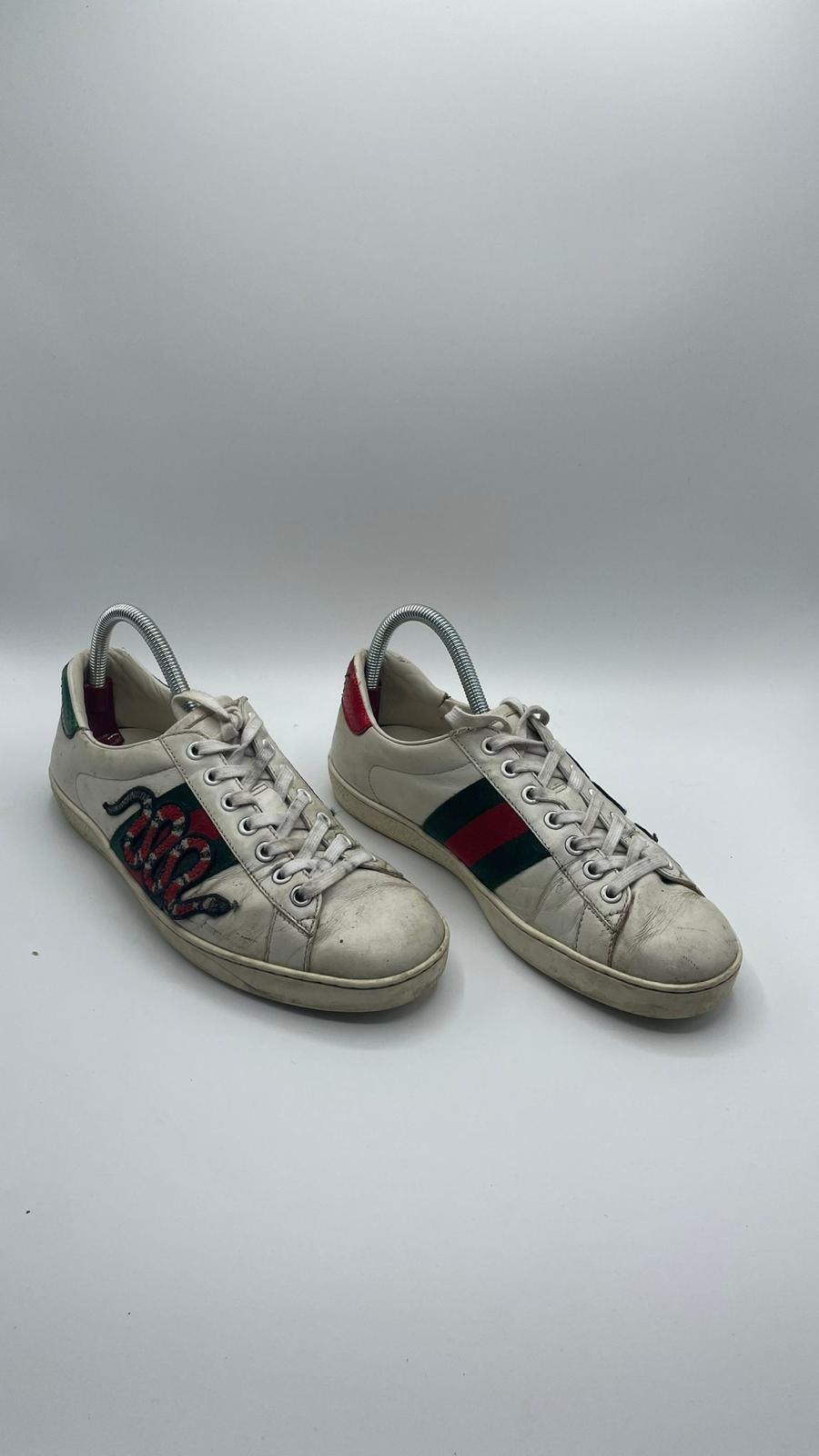 Gucci Ace Snake