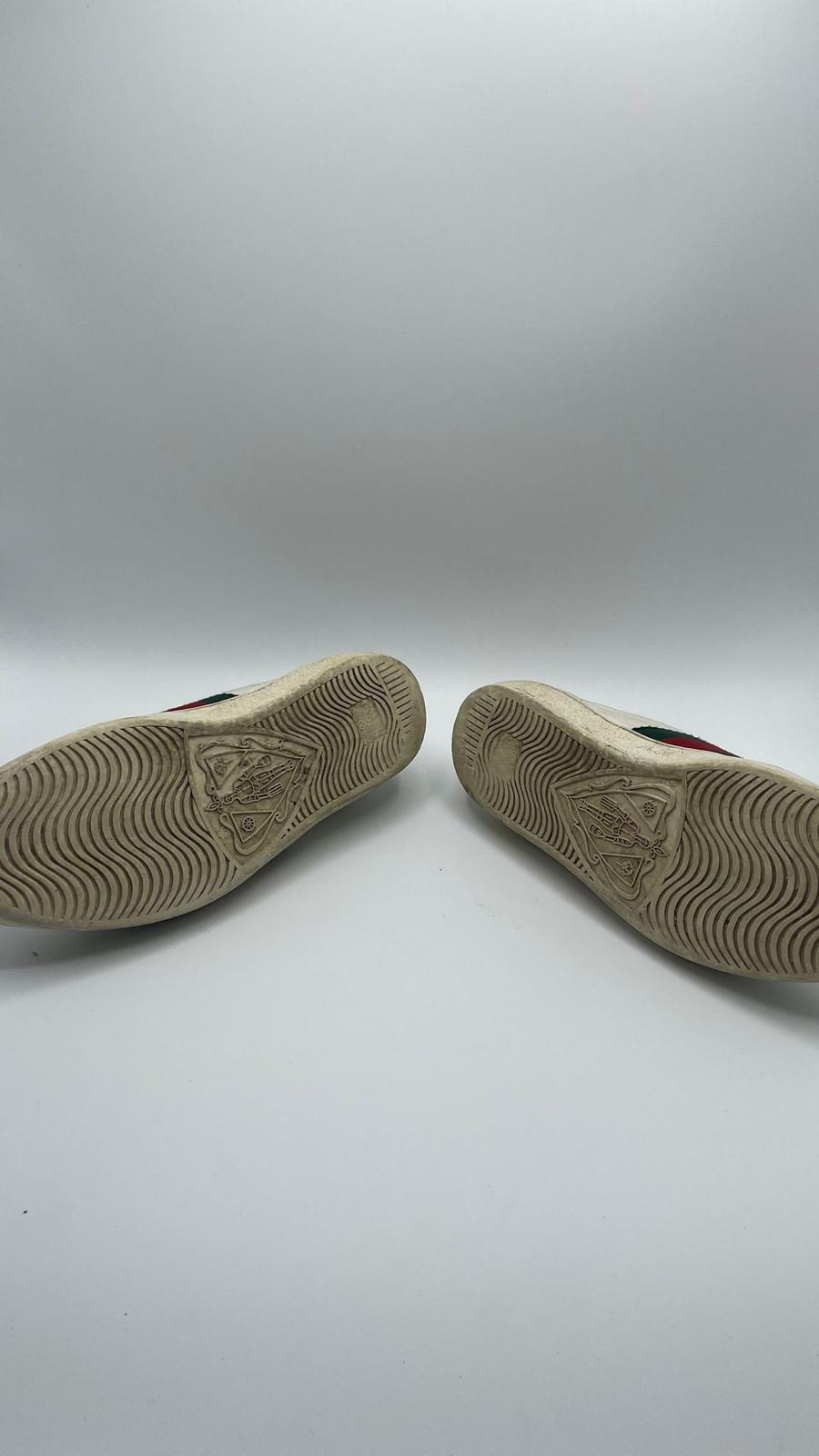 Gucci Ace Snake