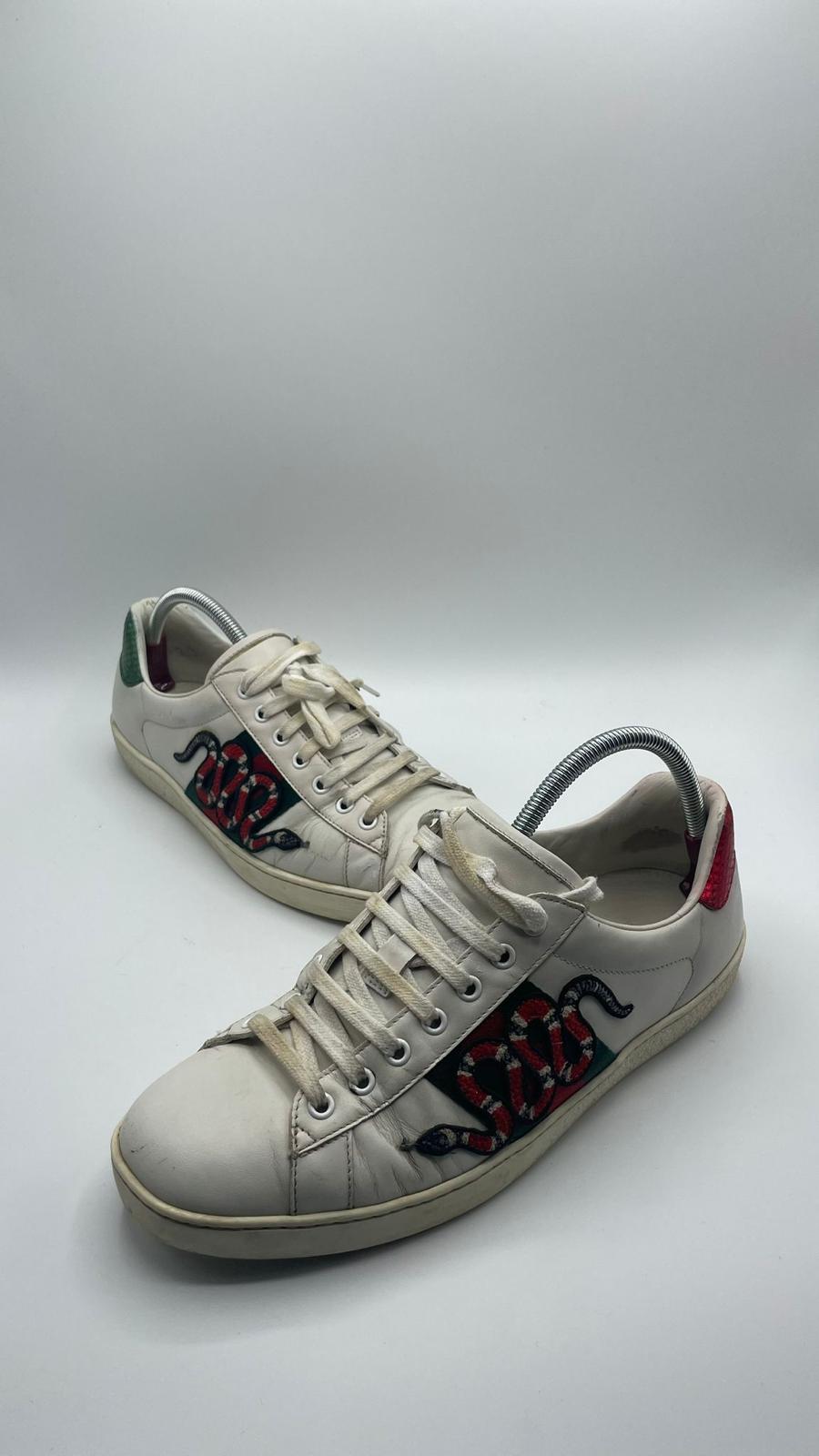 Gucci Ace Snake