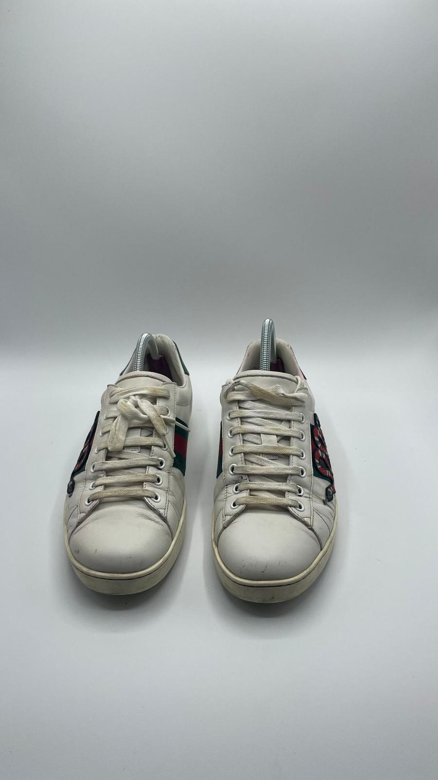 Gucci Ace Snake