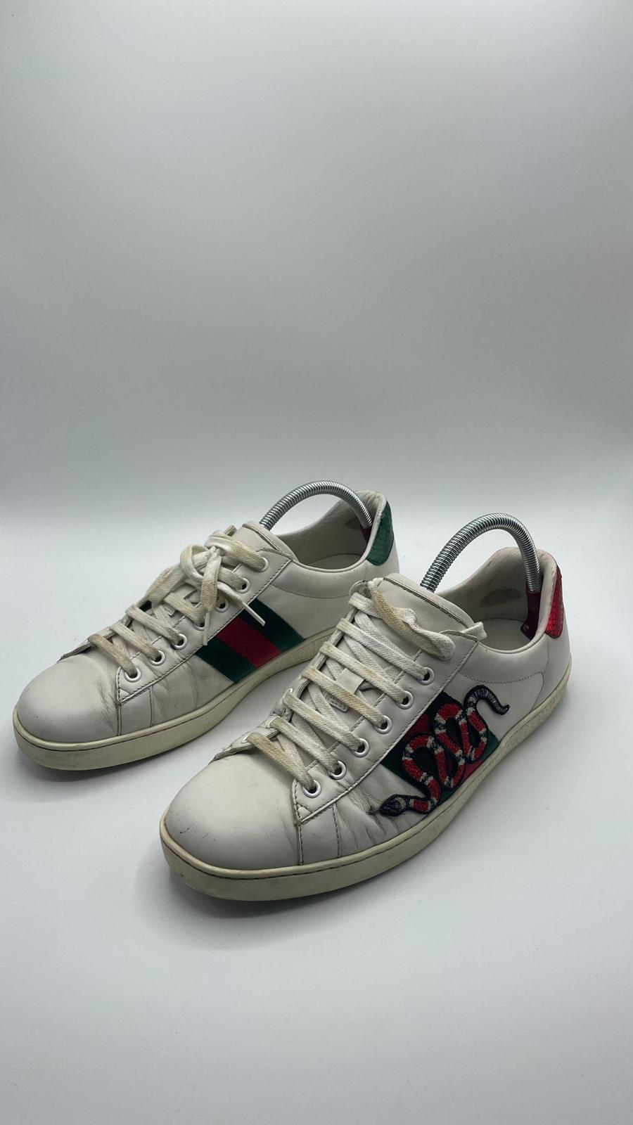Gucci Ace Snake