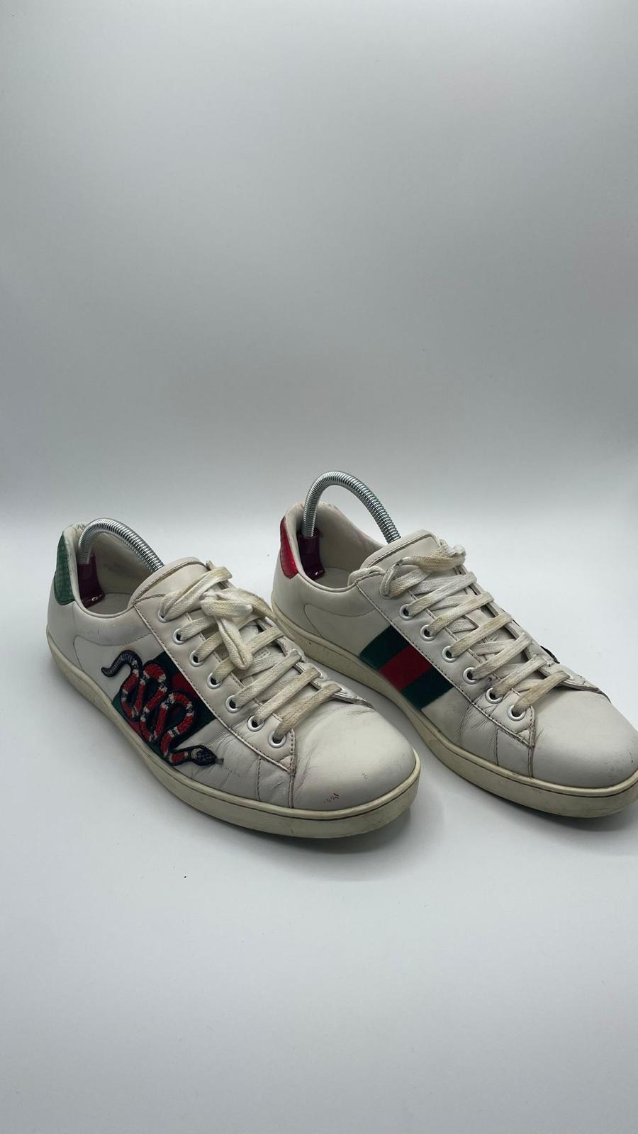 Gucci Ace Snake