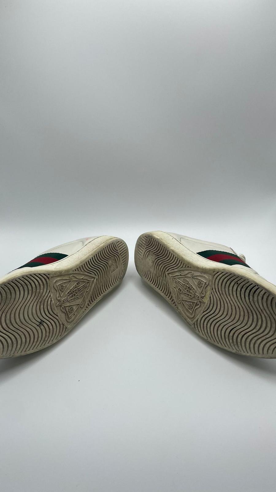 Gucci Ace Snake