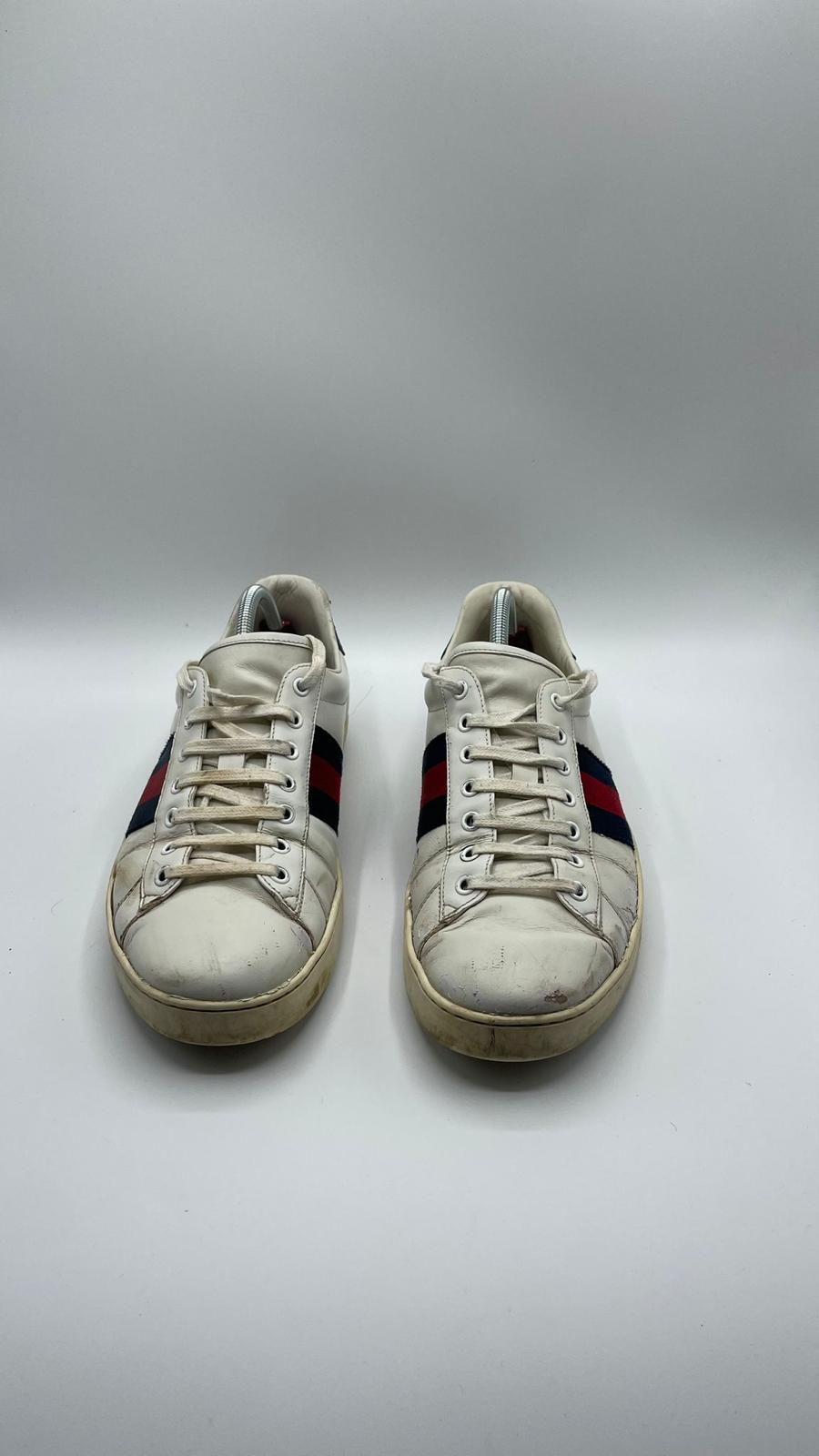 Gucci Ace