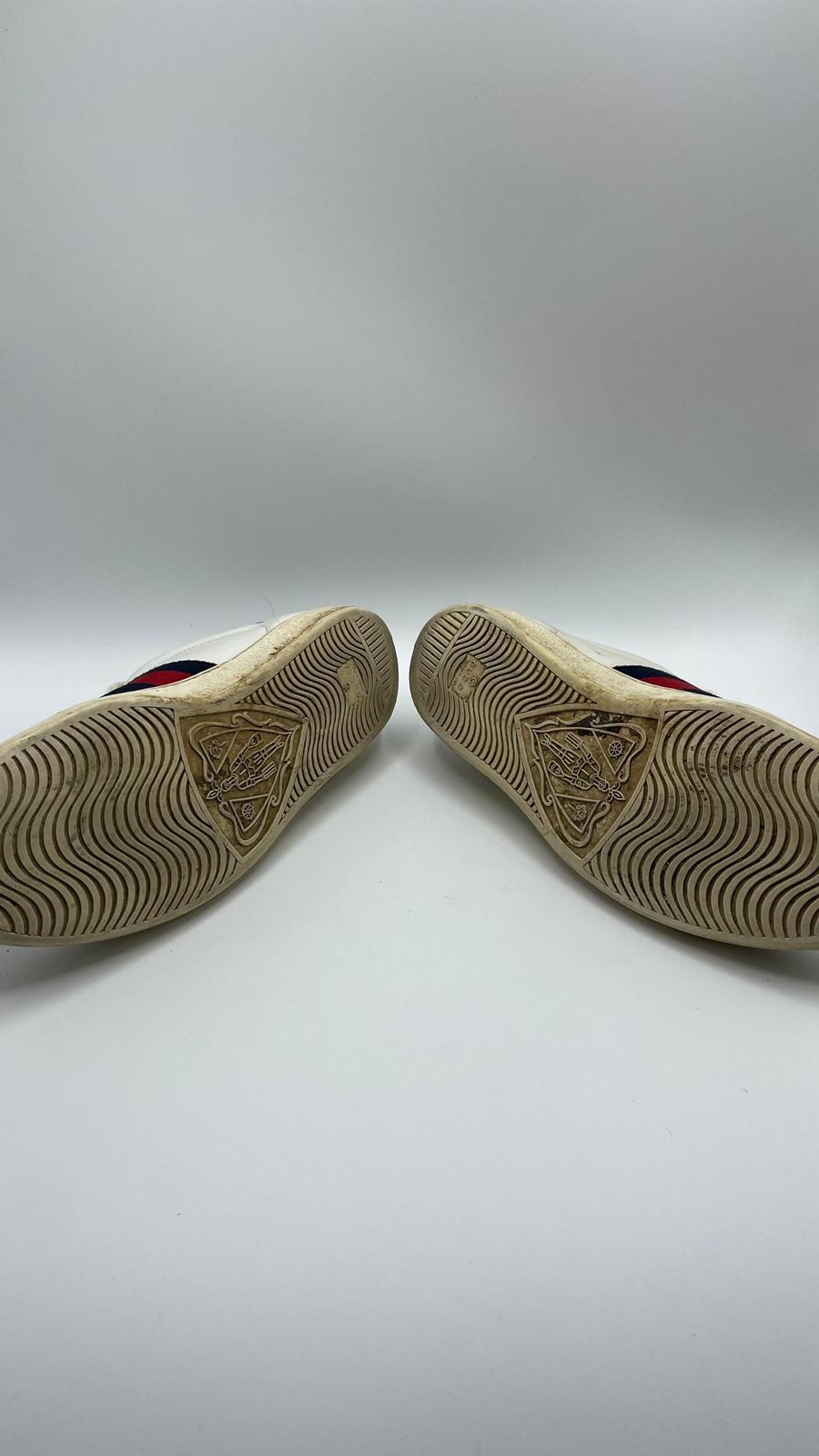 Gucci Ace