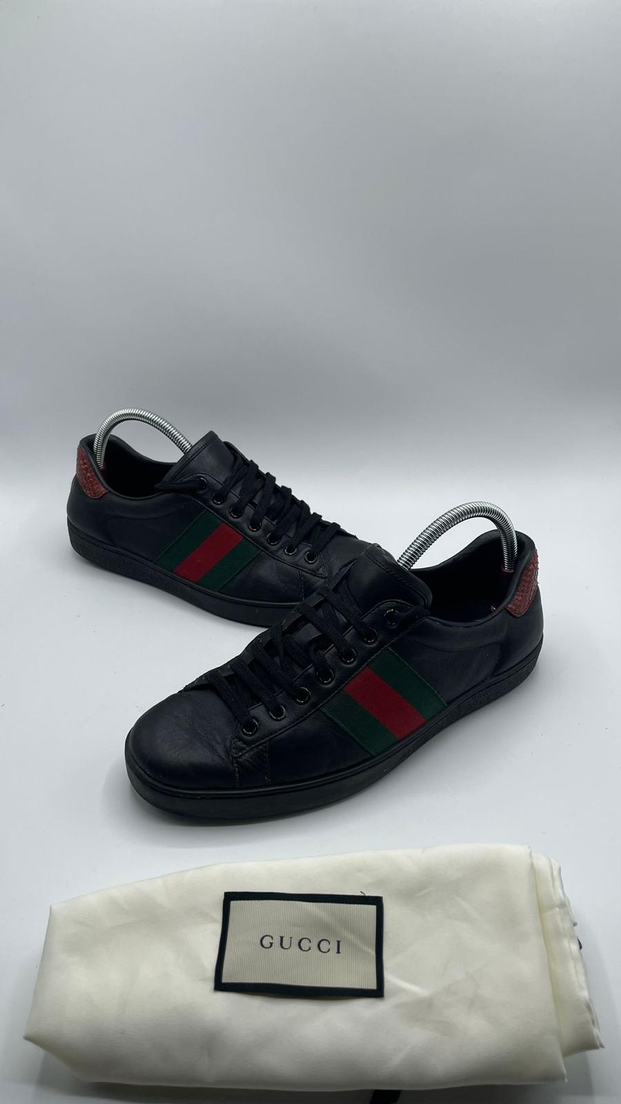 Gucci Ace
