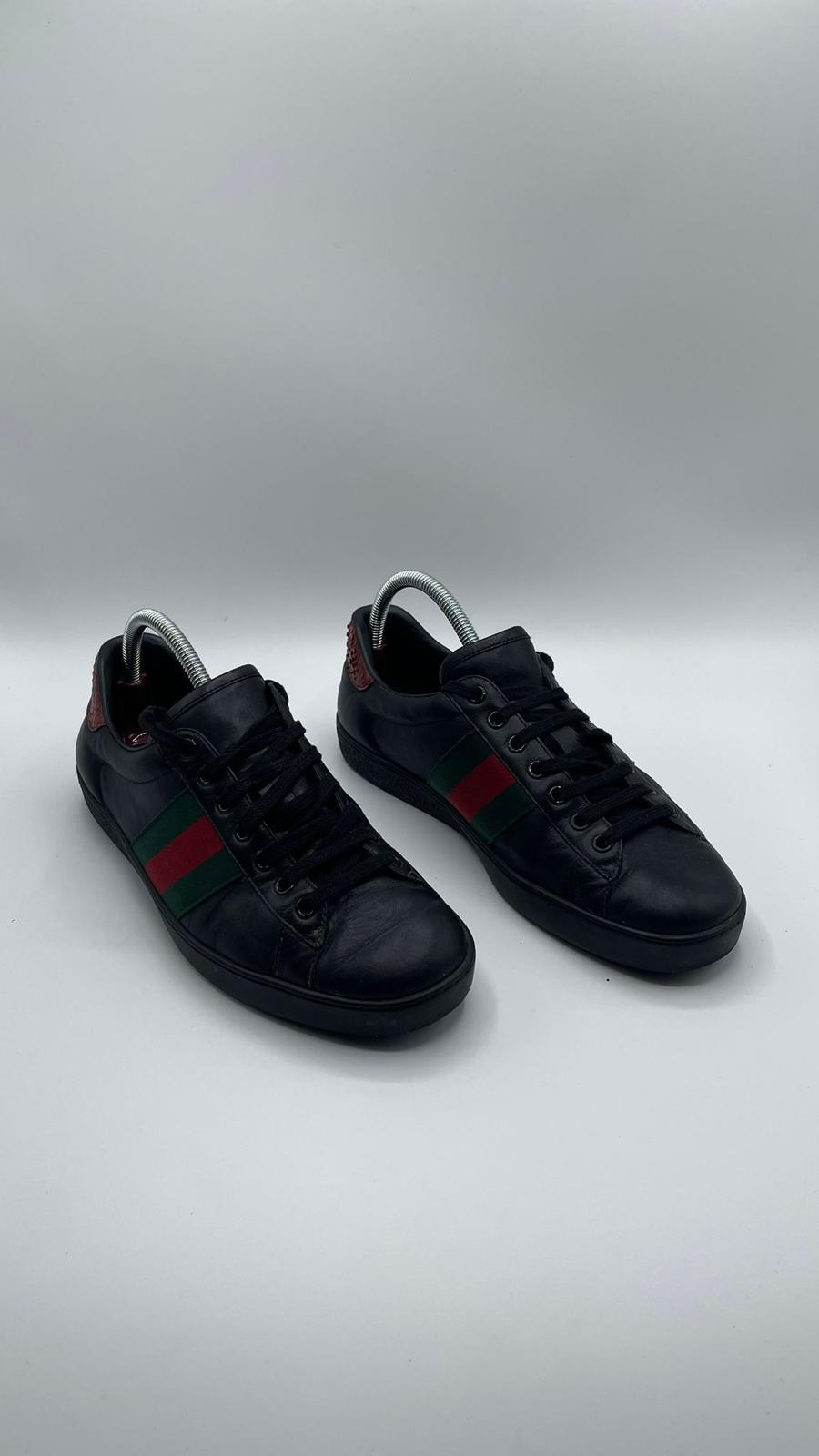 Gucci Ace