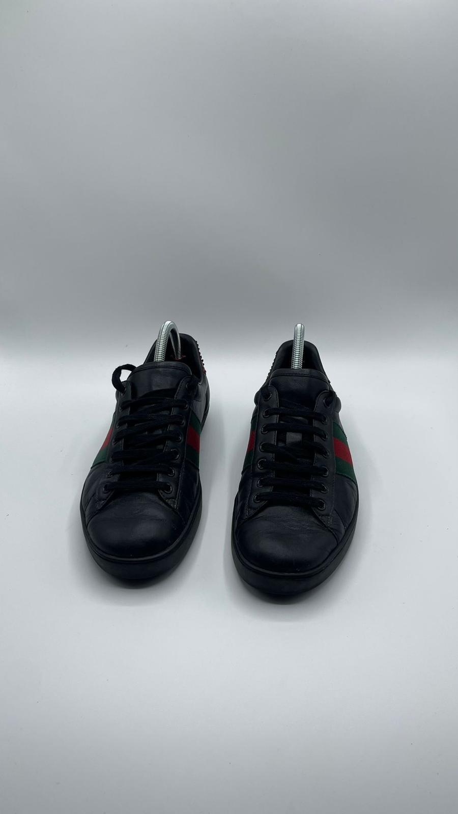 Gucci Ace