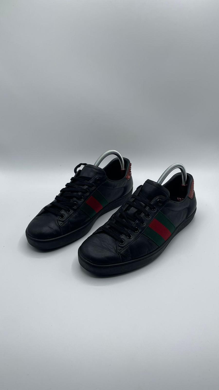 Gucci Ace