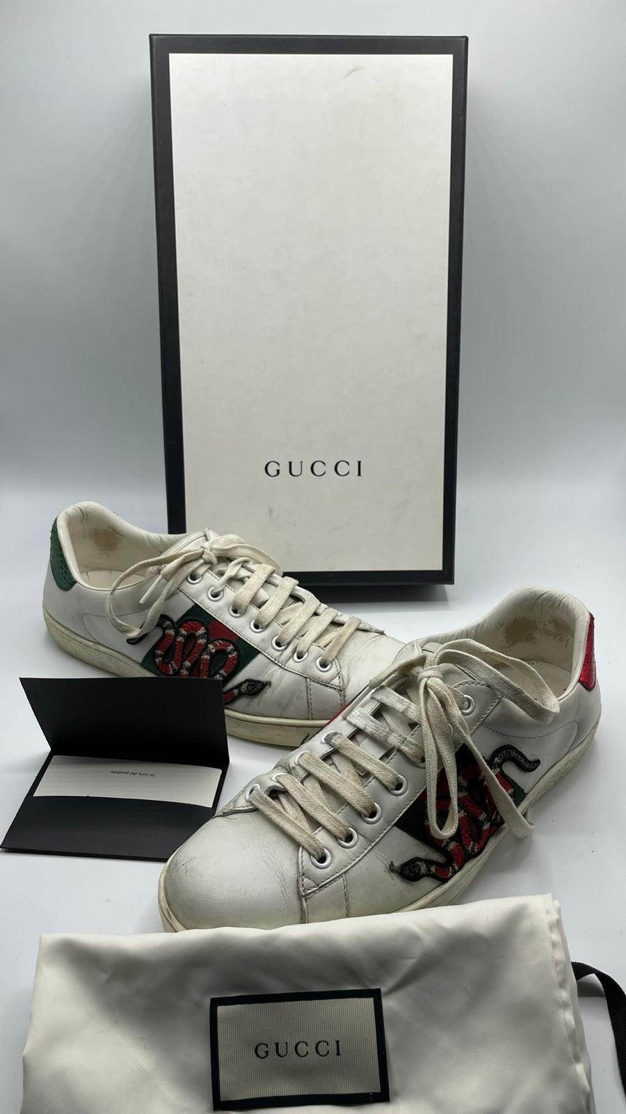 Gucci Ace Snake