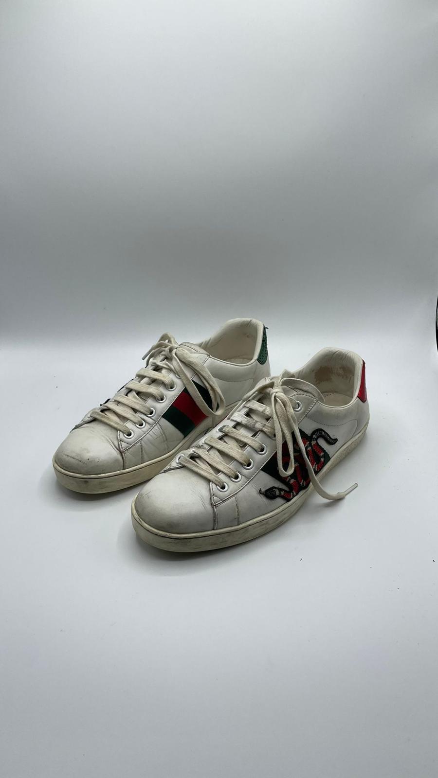 Gucci Ace Snake