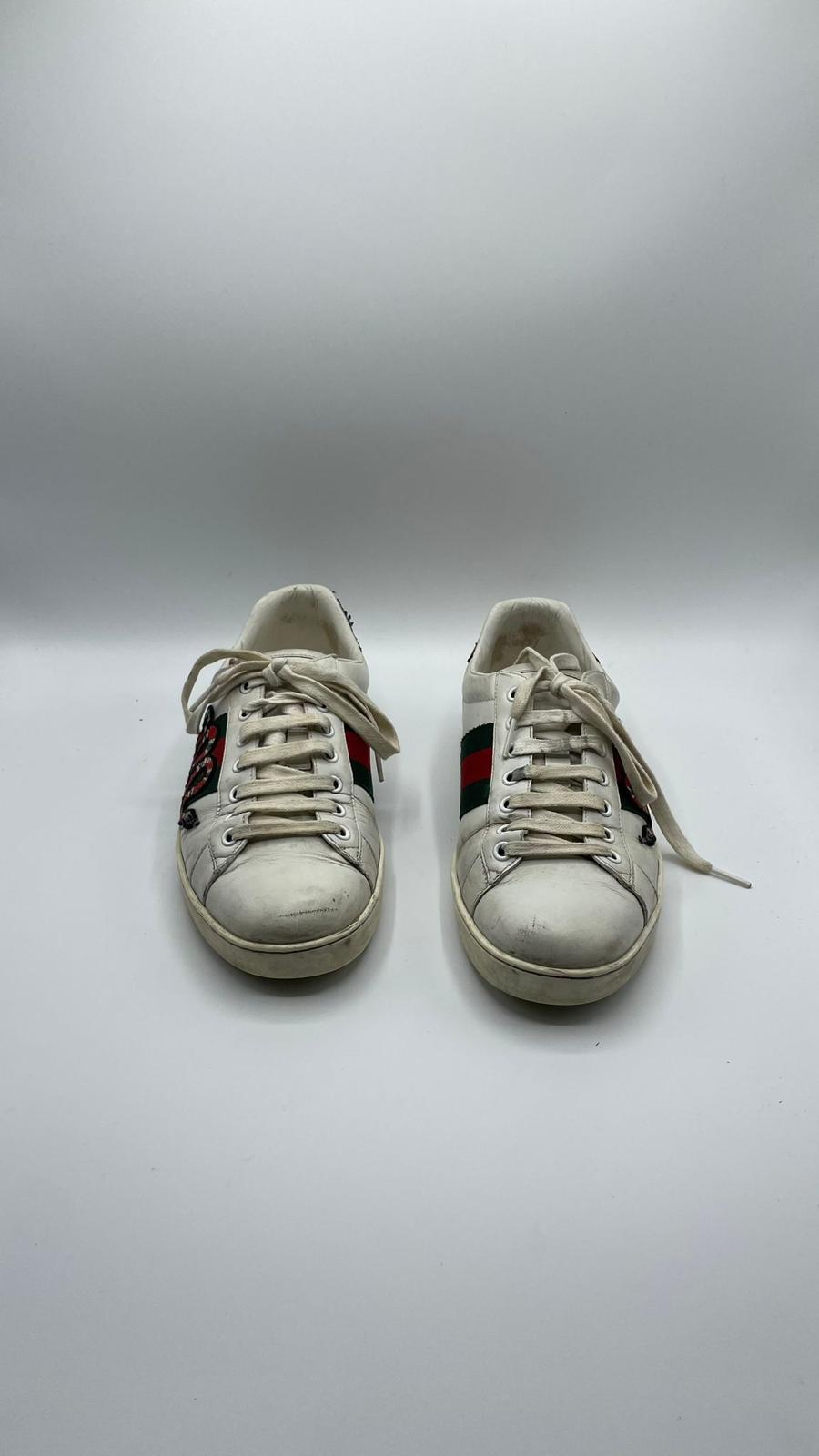 Gucci Ace Snake