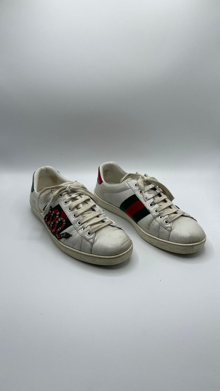 Gucci Ace Snake