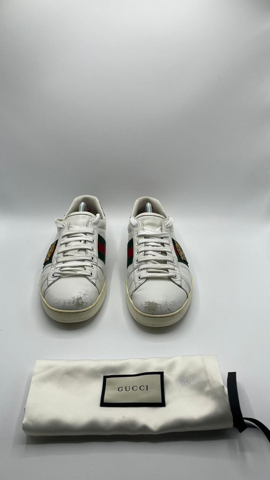 Gucci Ace Tiger
