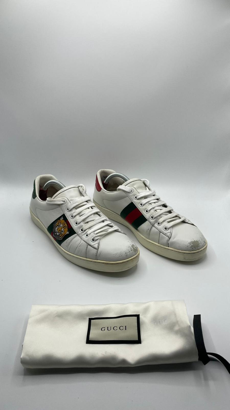 Gucci Ace Tiger