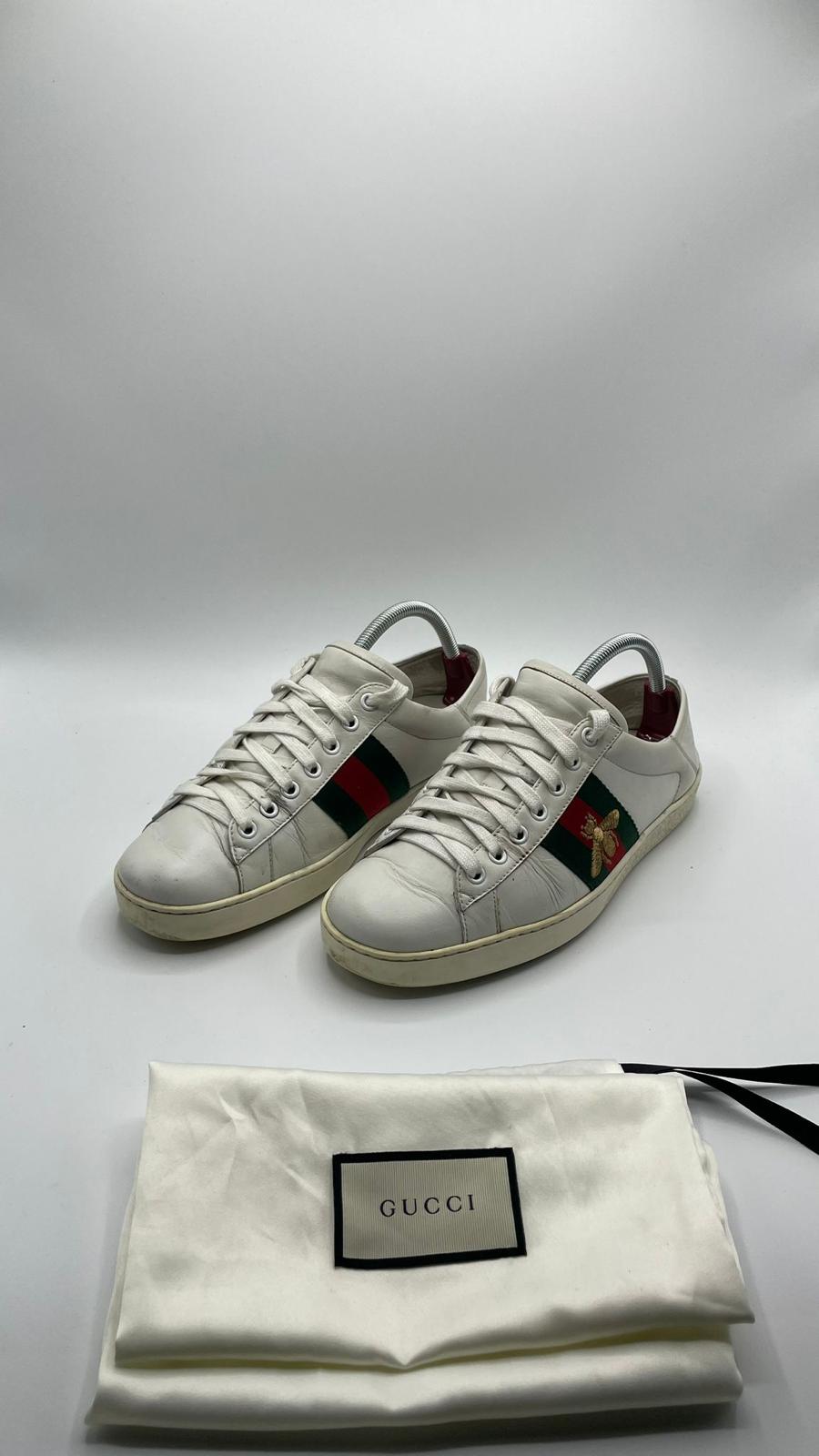 Gucci Ace Bee