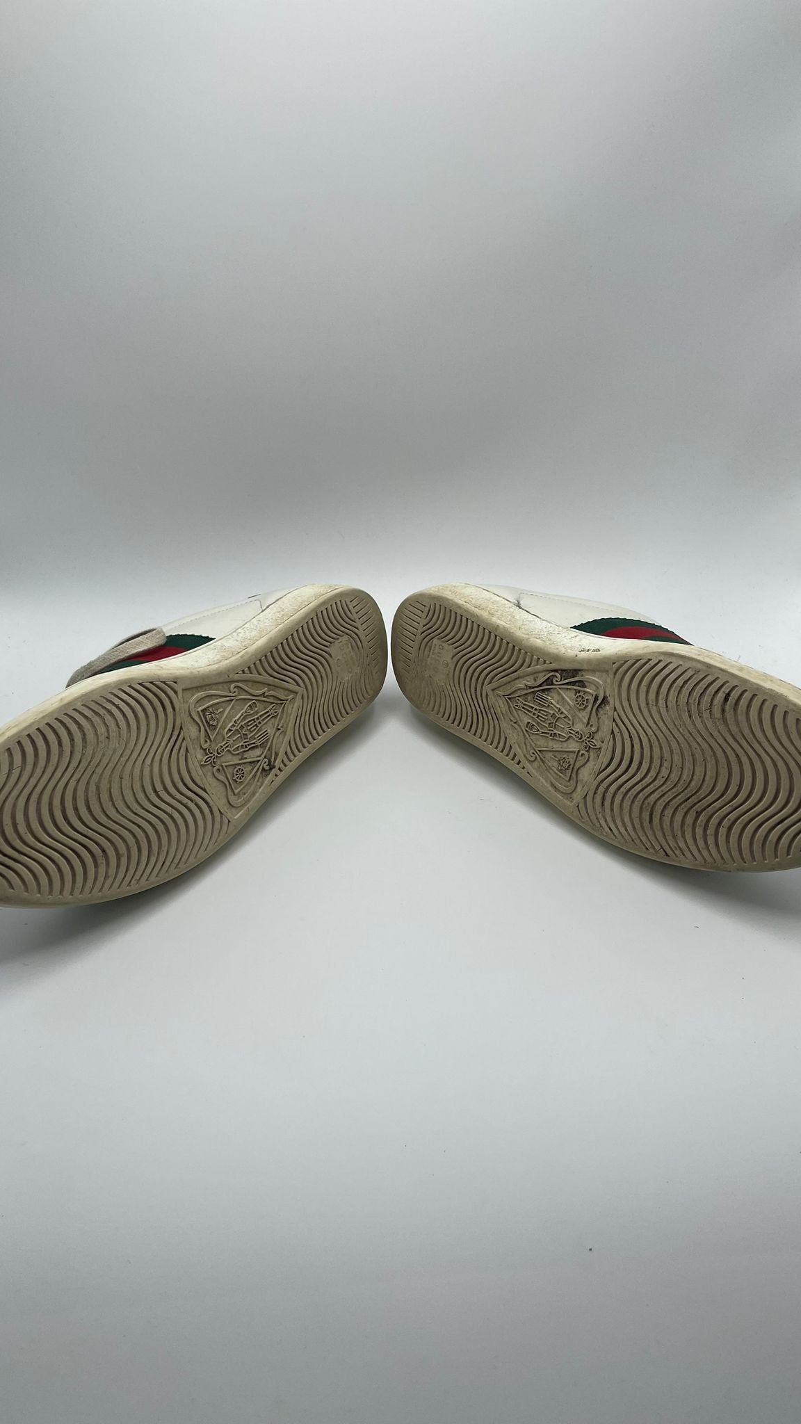 Gucci Ace Snake